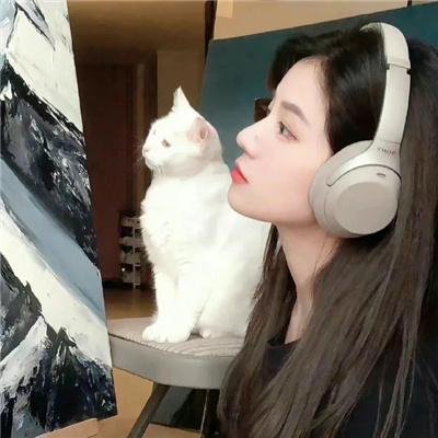 游击恋爱