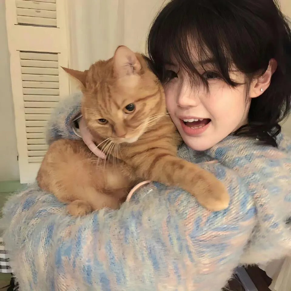 只有猫知道